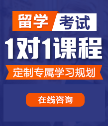 日逼视频网留学考试一对一精品课